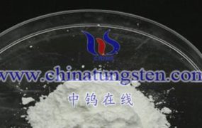 Applications and Prospects of Defective Tungsten Oxide (WO3-x) in Electronic Materials