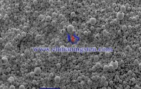 What Is SEM of Ammonium Metatungstate?