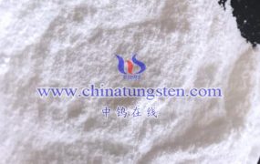 What is the EINECS Number for Ammonium Metatungstate Hydrate?