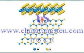 What Are Basic Facts about Tungsten Disulfide?