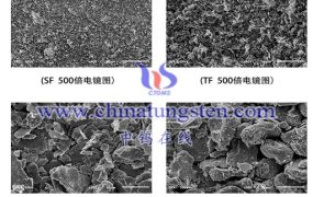 Molybdenum Disulfide Characteristics