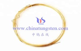 What Are Ethe Future Development Prospects of Gold-Plated Tungsten Wire?