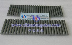 In What Harsh Environments Can Molybdenum Rods Be Used?