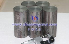 How Do Molybdenum Rods Perform in High Temperature Environments?