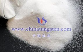 What Equipment Is Required for Neutralization Production of Ammonium Metatungstate?