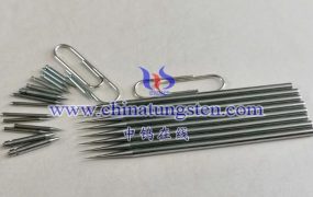 What Is a Tungsten Microdissection Needle?