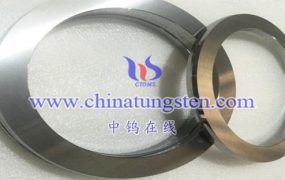 What Are Advantages and Disadvantages of 90WMoNiFe Alloy Sealing Rings?