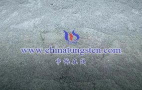 Applications of Tungsten Oxide Nanoparticles in Environmental Monitoring