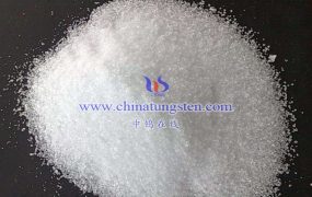 What Are the Disposal Options for Sodium Tungstate Waste?