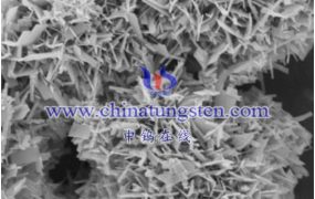 What Are Parameters And Specifications of Cesium Tungsten Bronze Powder?