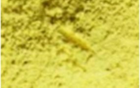 Tungsten Oxide Electrochromic Smart Windows