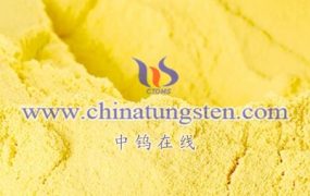 Applications of Monoclinic Tungsten Oxide Nanosheets in the Optoelectronics Field