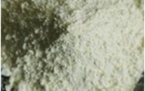 What Are Photocatalytically Active Surface Defects of Tungsten Oxide?