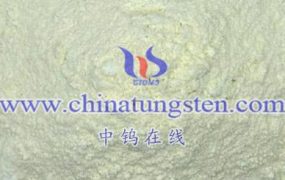 Novel Photoelectrochemical Biosensors Based on Tungsten Oxide Nanomaterials