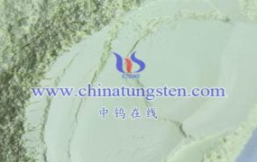 Application Fields of Novel Photoelectrochemical Biosensors Based on Tungsten Oxide Nanomaterials