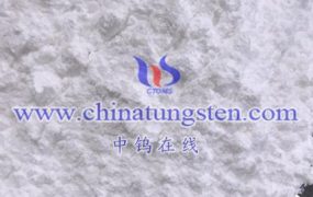 What is SEM Photo of Ammonium Metatungstate?