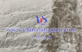 What is the Molecular Weight of Ammonium Metatungstate Hydrate?