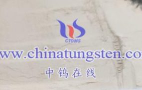 What are the Main Uses of Ammonium Metatungstate Hydrate?