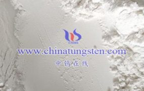 What is the EINECS Number of Ammonium Metatungstate Hydrate?