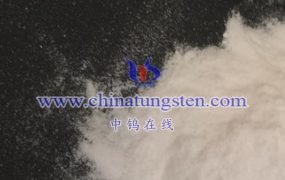 What is the Process of Preparation of Ammonium Metatungstate Hydrate by Ion Exchange Method?