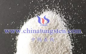What are the Advantages and Disadvantages of Ammonium Metatungstate Hydrate Preparation by Ion Exchange Method?