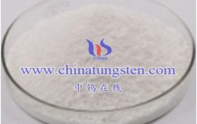 What Are the Safety Terms for Phosphotungstic Acid?