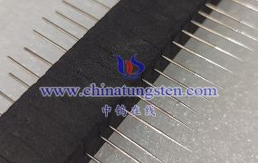 What Is the Future Development Trend of Tungsten Needles?