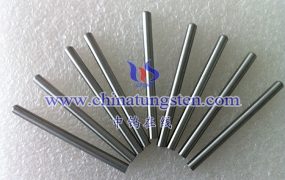 What Is the Surface Finish of the Molybdenum Electrode?