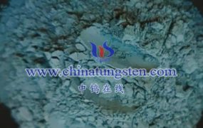 Tungsten Disulfide Price on MAR.19,2025