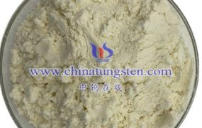 Potential Applications of Nano-Tungsten Oxide in Biomedicine