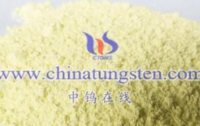 What are the disadvantages and limitations of nano-tungsten trioxide (WO₃) catalysts?