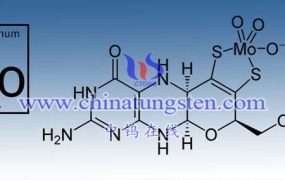 What Are the Applications of Molybdenum in the Chemical Industry?