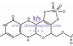 What Is the Impact of Molybdenum to Environment?