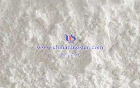 CTIA GROUP LTD Ammonium Metatungstate Electron Microscope Image