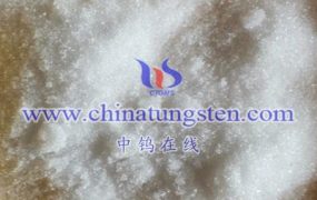 How Does the Solubility of Ammonium Metatungstate (AMT) in Water Change with Temperature?