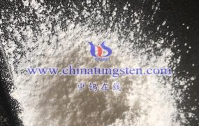 What are the Advantages of Ammonium Metatungstate in Petrochemical Catalysts?