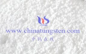 What is the Mechanism of Action of Ammonium Metatungstate in Catalyst Synthesis?