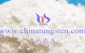 What are the Strong Acids Commonly Used in Tungsten Ore Extraction Process?