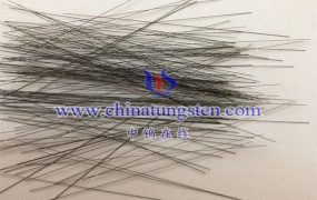 What Is a Neurosurgery Tungsten Needle?