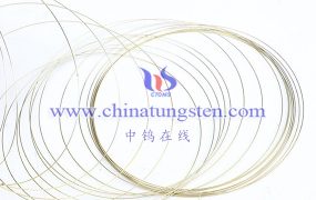 What Is a Medical Puncture Tungsten Needle?