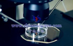 What Is a Tungsten Electrode Arc Needle?