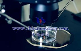 What Are Tungsten Needles for the Medical Industry?