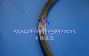 What Is the Use of Tungsten Wire in Electron Microscopes?