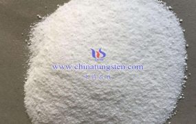 What Is the Molecular Formula of Ammonium Metatungstate?