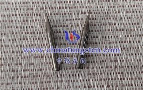 What Are the Market Prospects of Nano Tungsten Wire Needle?