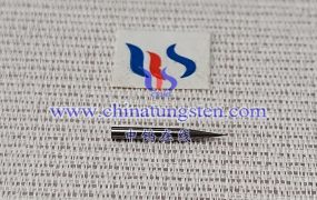 What Are the Applications of Medical Tungsten Micro Electrodes?