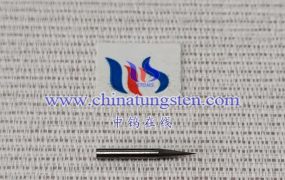 What Are the Market Prospects of Medical Tungsten Micro Electrodes?