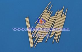 What Are the Market Prospects of Tungsten Gold Probe?