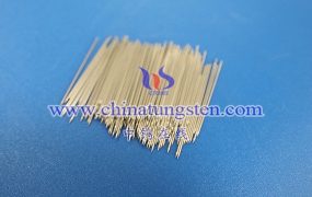 What Are the Uses of Rare Earth Tungsten Needles?