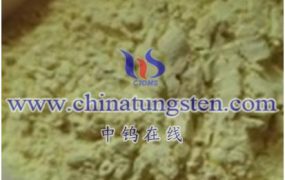 What Is Photoactive Oxygen Species (ROS) of Tungsten Oxide?